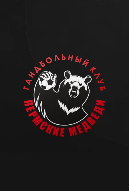 Чемпионат России по гандболу. СУПЕРЛИГА 26/27. Команды: Пермские медведи (г. Пермь) х Зенит (Санкт-Петербург)