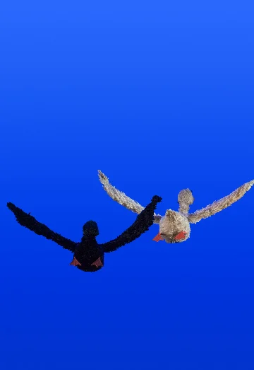 Дикий