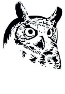 КОРНЕПЛОДЫ - ОСЕННИЙ ФЕСТИВАЛЬ От СОВЫ и ПАНТЕРЫ