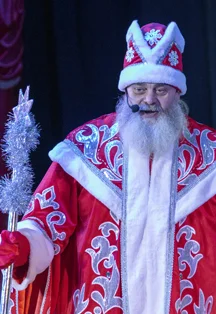 "Новогодняя котовасия"