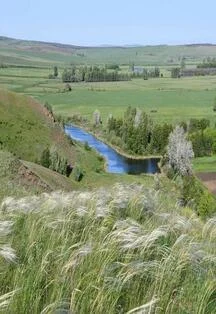 Оренбуржье – край неповторимый. Программа